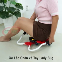 Xe lắc tay và chân Lady Bug S18N48A
