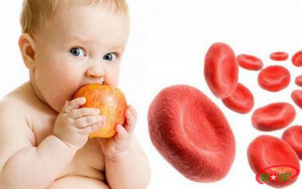 Trẻ bị thiếu máu nên ăn gì?